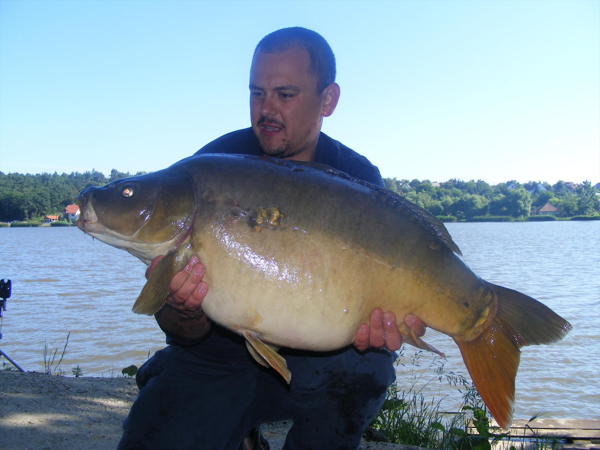 Harsanyi 2013 - dscf6327.JPG